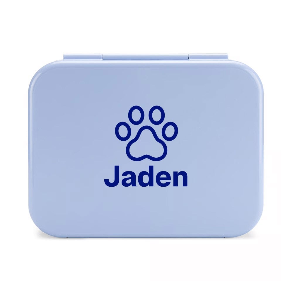 Day Packer Lunch Container